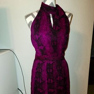 White House Black Market Fuschia Chiffon Halter Dress